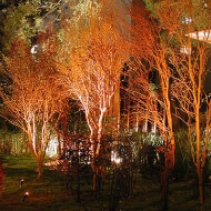 Garden lighting